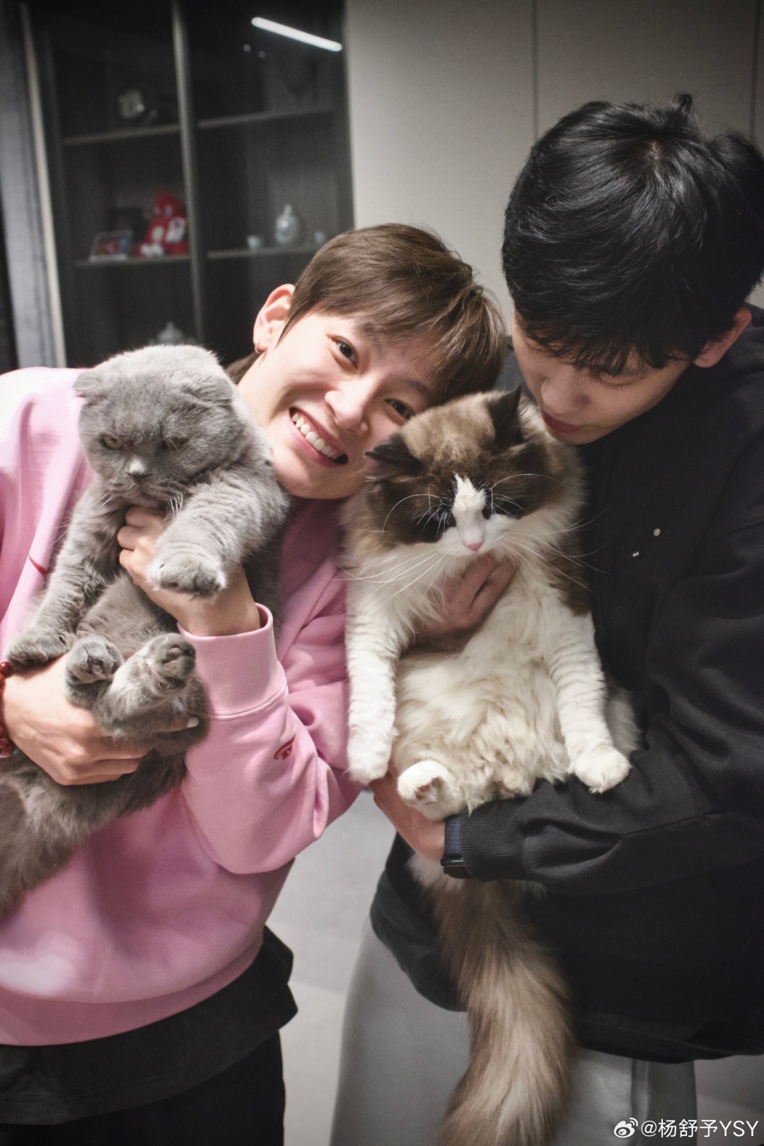 计划参加佛, 山之夜赛事 计划参加佛, 山之夜赛事